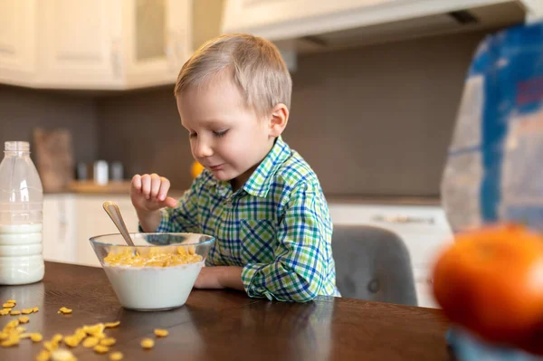 Niño enfocado mirando a su avena lista para comer — Foto de Stock