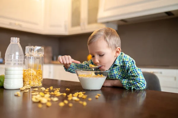 Bonito menino caucasiano com fome tomando café da manhã — Fotografia de Stock