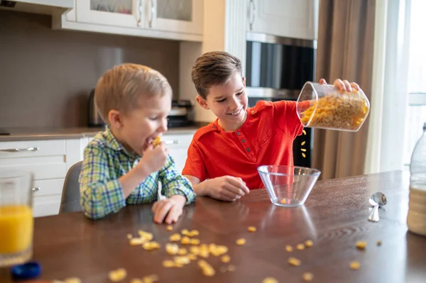 Дитина спостерігає за своїм веселим братом готує сніданок — стокове фото