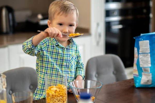 Маленький хлопчик вивчає інгредієнти для своєї вівсянки — стокове фото