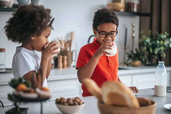 Dos hermanos en la cocina tomando leche para el desayuno — Foto de Stock