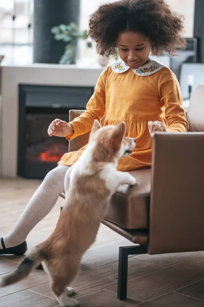 Темношкіра дівчина грає з милою собакою — стокове фото