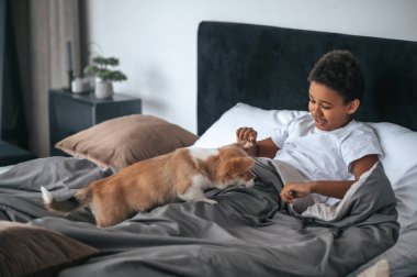 Şirin bir çocuk köpek yavrusuyla oynuyor ve heyecanlanıyor.