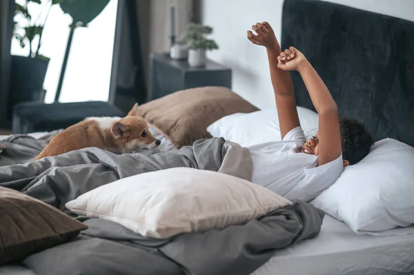 A boy laying in bed and a dog together with him — Stok Foto