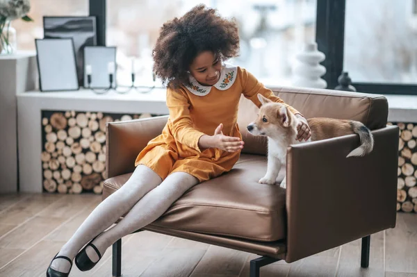 Egy lány narancssárga ruhában játszik egy kiskutyával. — Stock Fotó