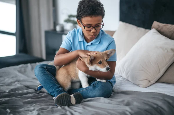 A cute teen playing with his corgi puppy on bed —  Fotos de Stock