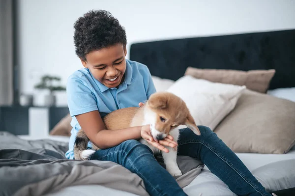 Хлопчик розважається зі своїм собакою і виглядає збудженим — стокове фото
