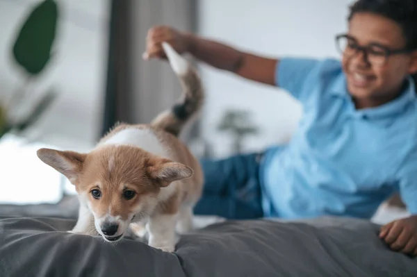 Cute dark-skinned boy in eyeglasses and his puppy at home — Stok fotoğraf