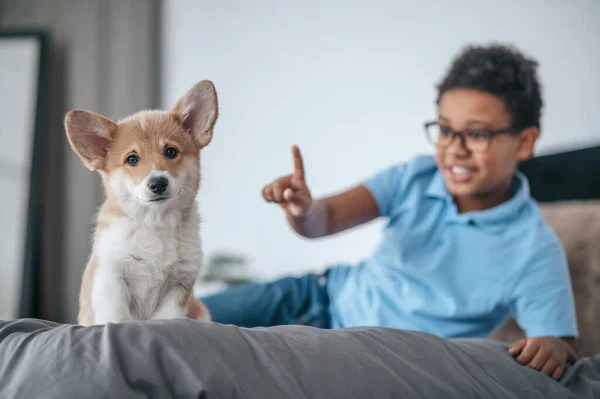 Bonito menino de pele escura em óculos e seu cachorro em casa — Fotografia de Stock