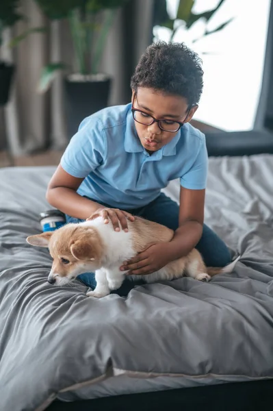 A boy playing with a puppy and looking involved — Zdjęcie stockowe