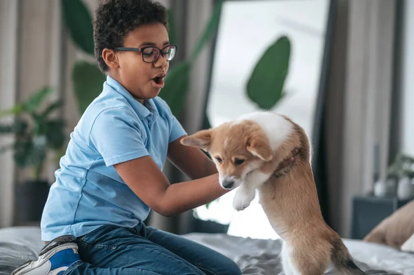 A boy playing with a puppy and looking involved — Zdjęcie stockowe