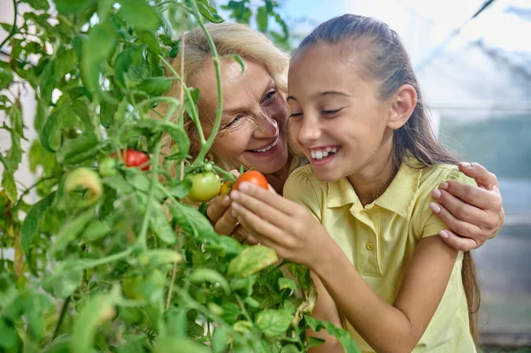 Woman hugging happy girl looking at growing tomatoes — Stockfoto