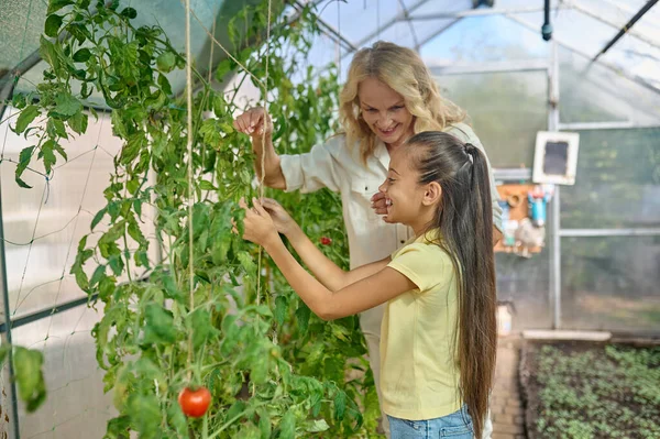Girl sideways to camera and woman in greenhouse — Stockfoto