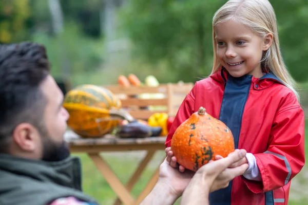 Dad and daughter sorting the pumpkings in the yard — Φωτογραφία Αρχείου