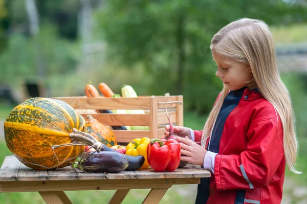 Long-haired blonde girl looking busy while sorting veggies — Φωτογραφία Αρχείου