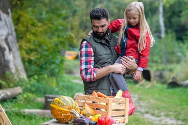 Dad and daughter spending time on a farm sorting the vegetables — Φωτογραφία Αρχείου