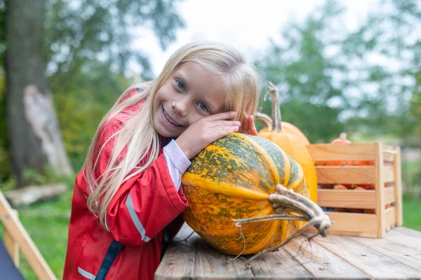 A cute girl standing near the table with pumpkins on — Φωτογραφία Αρχείου