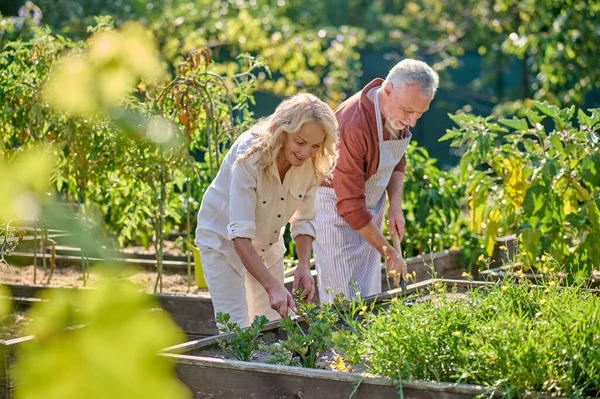 Woman and man loosening soil in garden — Stockfoto