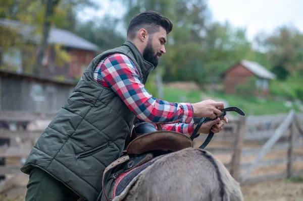 Ein Mann im karierten Hemd arbeitet auf einer Rinderfarm — Stockfoto