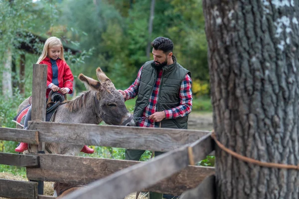 stock image A cute blonde girl riding a donkey on a farm, her dad helping her