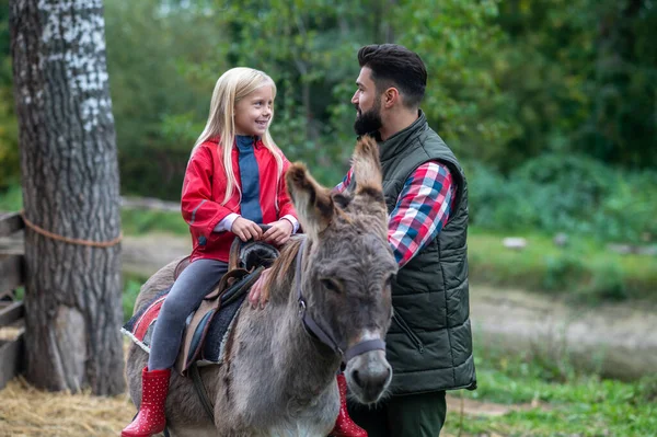 Roztomilé blondýny dívka na koni osel na farmě, její táta jí pomáhá — Stock fotografie