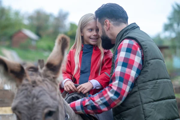 Ένα χαριτωμένο ξανθό κορίτσι καβάλα σε ένα γάιδαρο σε μια φάρμα, ο πατέρας της την βοηθούσε. — Φωτογραφία Αρχείου