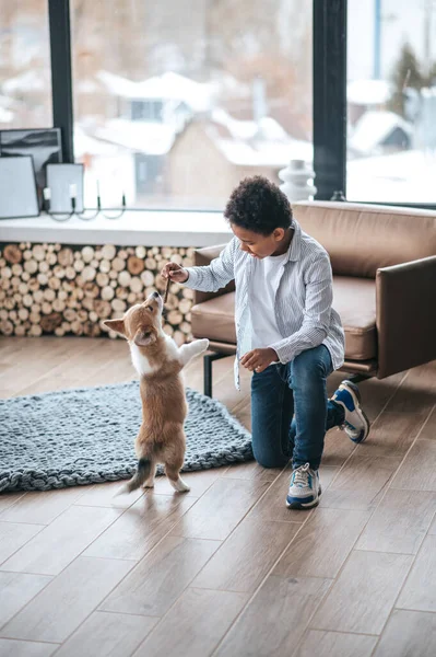 Das Spielen Mit Haustieren Ein Junge Spielt Mit Einem Welpen — Stockfoto