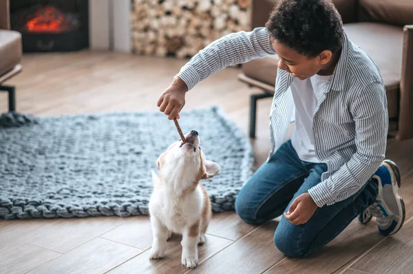 Játszunk Egy Fiú Kezében Egy Bottal Játszik Egy Kiskutyával — Stock Fotó