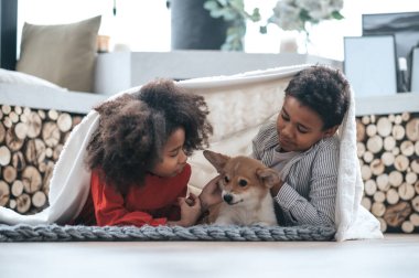 Eğlence zamanı. Çocuklar battaniyeyi giyip yavru köpekle oynuyorlar.
