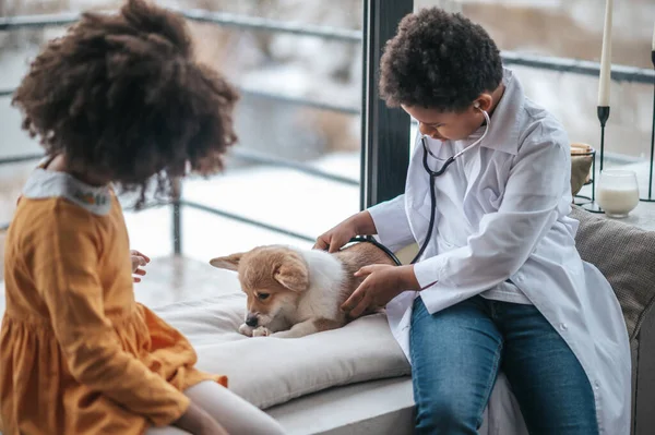 Mascota Enferma Dos Niños Sentados Cerca Del Perro Enfermo Examinándolo — Foto de Stock