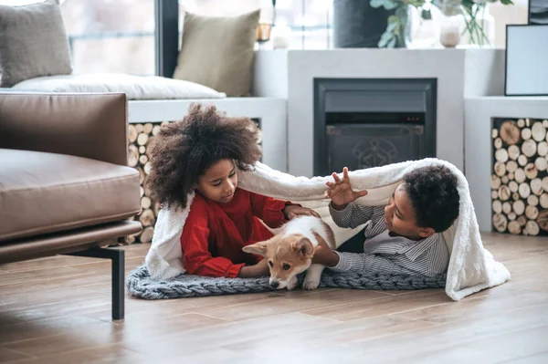 Spaßzeit Kinder Ziehen Decke Und Spielen Mit Einem Welpen — Stockfoto