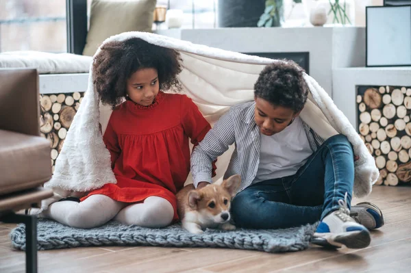 Spaßzeit Kinder Ziehen Decke Und Spielen Mit Einem Welpen — Stockfoto