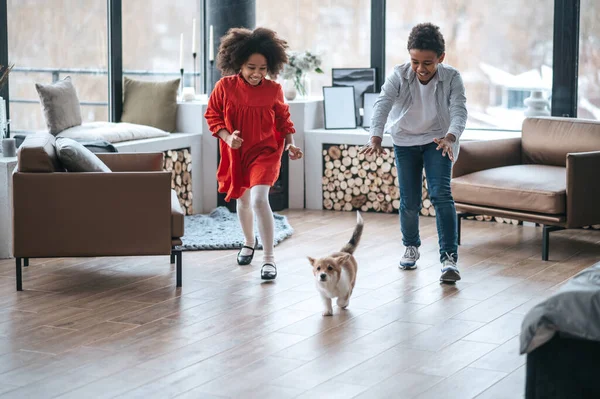 Playing Puppy Kids Looking Excited While Playing Puppy — Stock Photo, Image