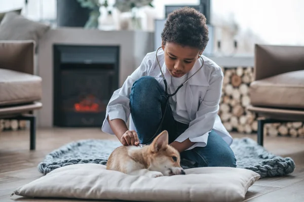 Cãozinho Doente Menino Pele Escura Casaco Laboratório Examinando Cachorro — Fotografia de Stock