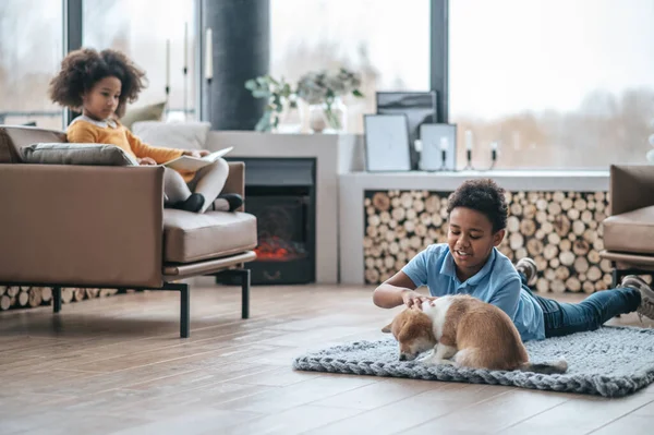 Boş Zaman Yavru Köpekle Oynayan Bir Oğlan Kitap Okuyan Bir — Stok fotoğraf