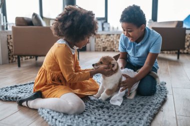 Köpekle oynuyordum. Çocuklar yavru köpekleriyle vakit geçiriyorlar.