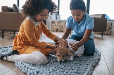 Köpekle oynuyordum. Çocuklar yavru köpekleriyle vakit geçiriyorlar.