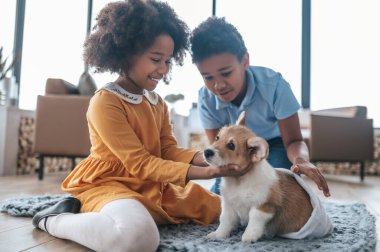 Köpekle oynuyordum. Çocuklar yavru köpekleriyle vakit geçiriyorlar.