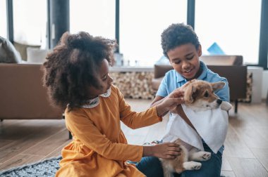 Yıkandıktan sonra köpek yavrusu. Çocuklar yıkandıktan sonra köpeği havluyla kurutuyorlar.