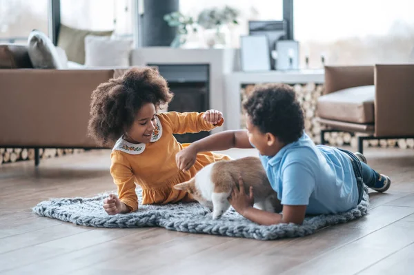 Huisdier Twee Gekrulde Kinderen Spelen Met Puppy — Stockfoto