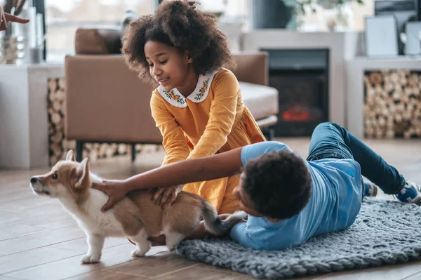 Játszani Kutyával Két Gyerek Betanítja Kiskutyát Úgy Néz Benne Van — Stock Fotó