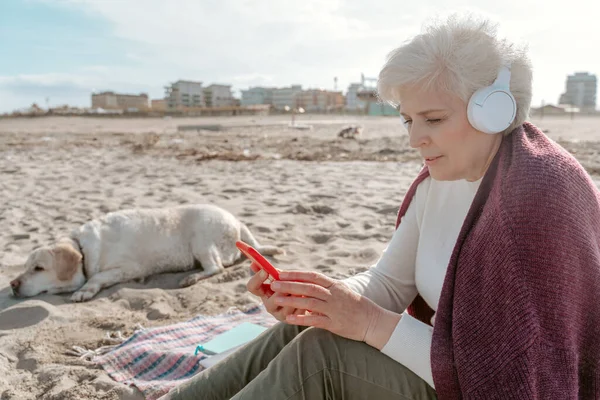 彼女の犬の横に砂の上に座っている無線ヘッドフォンの女性とスマートフォンの画面を見て — ストック写真