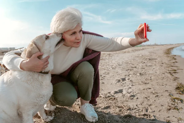 Mulher Sênior Bonita Fotografando Animal Estimação Com Smartphone Praia Arenosa — Fotografia de Stock