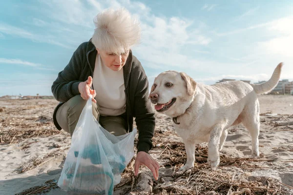 Focused female environmental activist and a cute Labrador Retriever collecting plastic waste on the seashore