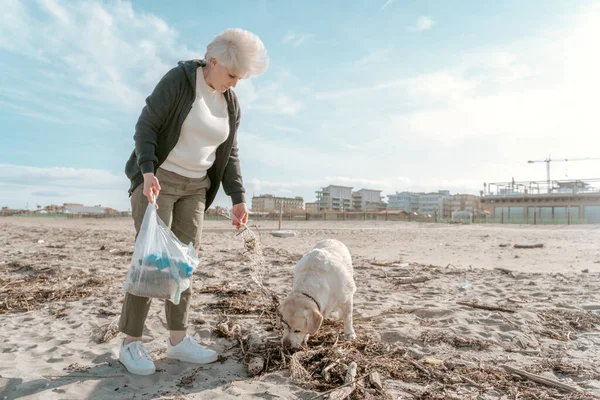 Sérias Ativista Ambiental Concentrada Seu Animal Estimação Pegar Lixo Praia — Fotografia de Stock