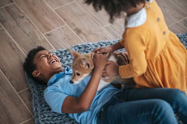 Time Play Siblings Playing Dog Looking Excited Royalty Free Stock Images