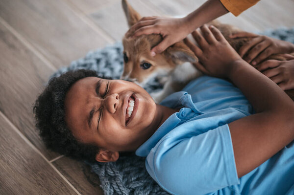 Time Play Siblings Playing Dog Looking Excited Stock Photo