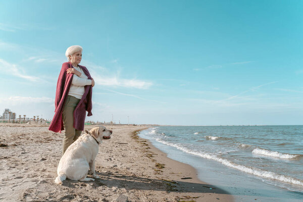 Pensive Senior Lady Cute Dog Standing Sandy Beach Sea Stock Image
