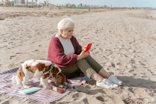 彼女の犬は新鮮なイチゴを食べている間 彼女の手にスマートフォンを見て焦点を当てた女性 — ストック写真