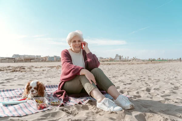 Pleased Elderly Lady Sitting Sand Her Cute Pet Phone Talk — ストック写真